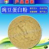 供應(yīng)豌豆蛋白粉，飼料添加劑，飼料原料，畜牧養(yǎng)殖飼料