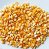 大量求購(gòu)玉米、大米、高粱、大豆、小麥等釀酒原料