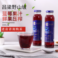 呂梁野山坡藍莓果肉果汁 婚慶酒席果蔬飲料藍莓汁 現貨整箱批發(fā)